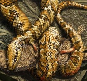 Ανακάλυψαν το πρώτο  φίδι με 4 πόδια που έζησε πριν από 113 εκ χρόνια 