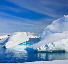 Ανακαλύφθηκε το αρχαιότερο σπέρμα στον κόσμο , 50 εκατομ.  ετών στην Ανταρκτική 