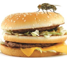 Βίντεο: Πήγε μύγα στο φαγητό σας; Μπλιάχ! Δείτε το βίντεο και θα καταλάβετε