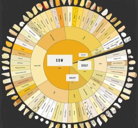 Αυτός είναι ο παγκόσμιος χάρτης 65 καλύτερων τυριών του πλανήτη - Η φέτα είναι μέσα; 