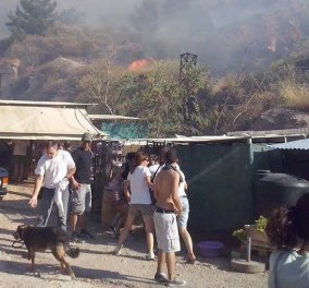 Βύρωνας: Εθελοντές έσωσαν δεκάδες σκύλους από την πύρινη κόλαση
