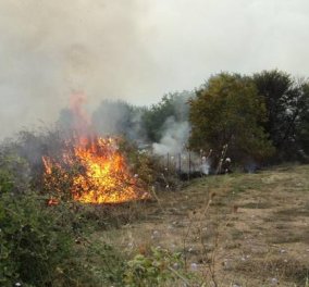 Oλονύχτια μάχη με τις φλόγες στην Πάρνηθα - Υπό έλεγχο η φωτιά