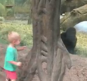 Βίντεο: Ο μικρός επισκέπτης στον ζωολογικό κήπο και το ακουάριουμ του Οχάιο βρήκε έναν απρόσμενο φίλο
