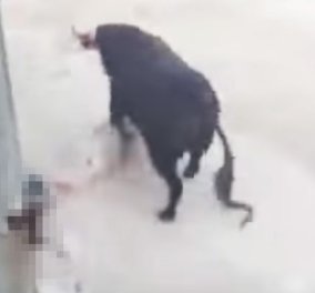 Βίντεο - Φωτό: Η τραγική στιγμή που ο μαινόμενος ταύρος κάρφωσε το 12ο θύμα του στην Ισπανία