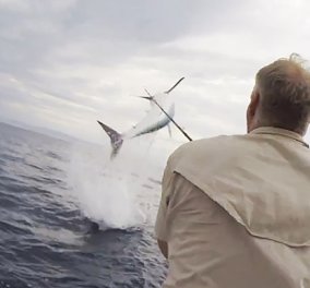 Βίντεο: Καρχαρίας «πηδά» 3,5 μέτρα έξω από το νερό και παγώνει το αίμα ενός ψαρά  