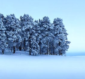 Έκθεση φωτογραφίας με θέμα τον "Χειμώνα" παρουσιάζεται στην καρδιά της Κυψέλης και στη Blank Wall Gallery