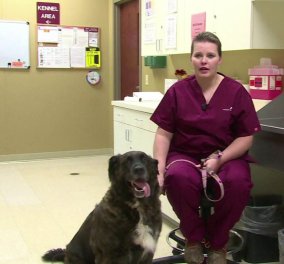 Η συγκινητική ιστορία της Tara: Ο σκύλος μου ''μύρισε'' τον καρκίνο & μου έσωσε τη ζωή