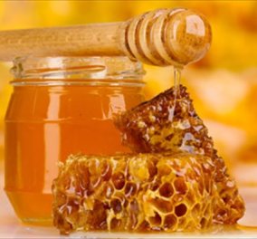 Ένα συνέδριο γλύκα σκέτη: Από 4 έως 6/12 το 5ο Πανελλήνιο Μελισσοκομικό Συνέδριο 