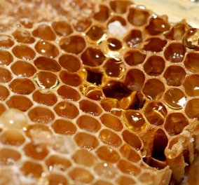 Νέες έρευνες δείχνουν πως το μέλι και το κερί ήταν δημοφιλή & χρηστικά από τη Λίθινη Εποχή 