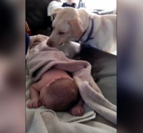 Smile βίντεο: Πανέξυπνος σκυλάκος σκεπάζει μωράκι που κοιμάται & γίνεται viral 