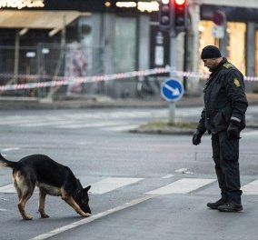 Οι τρομοκράτες γάζωσαν με καλάσνικοφ τον σκύλο της Γαλλικής αστυνομίας - Μπήκε πρώτος στο διαμέρισμα των Τζιχαντιστών 