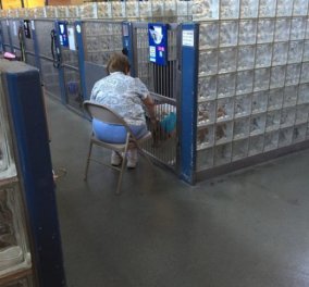 Γυναίκα διαβάζει σε σκύλους για να μην αισθάνονται μόνοι- Η ιστορία έγινε αμέσως δημοφιλής 