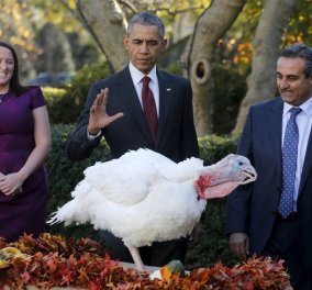 Η πιο τυχερή  Γαλοπούλα του 2015! Σε ποιάν έδωσε την χάρη ο Ομπάμα σήμερα Ημέρα των Ευχαριστιών; 