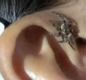 Δείτε το αν αντέχετε: Αράχνη είχε κατασκηνώσει σε αυτί άτυχου άνδρα (Bίντεο)
