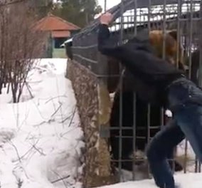 Βίντεο-σοκ: Αρκούδα κόβει το χέρι μεθυσμένου Ρώσου που πήγε να «παίξει» μαζί της