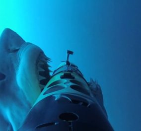 Βίντεο: Δείτε τις επιθέσεις λευκών καρχαριών σε "ανυποψίαστα" υποβρύχια drone   