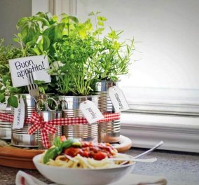 Κάντε την κουζίνα σας - βοτανόκηπο : Yπέροχες ιδέες για να βάλετε  γλαστράκια & μυρωδικά - Θα μαγειρεύετε στην φύση 