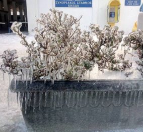 Οι ακραίες καιρικές συνθήκες στη Θράκη πάγωσαν το Τελωνείο Κήπων στον Έβρο 