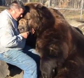 Βίντεο: Ο Jimbo η αρκουδίτσα δεν σταματά τις αγκαλιές και τα παιχνίδια με τον φύλακα του πάρκου