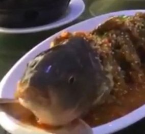 Το βίντεο που έγινε viral: Ψάρι κομμένο και σερβιρισμένο «αντιδρά» μέσα στην πιατέλα!