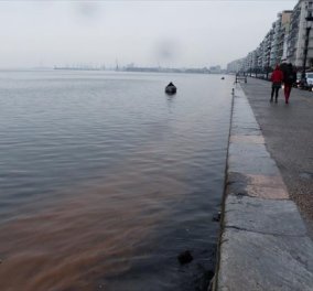 Φαινόμενο «ερυθράς παλίρροιας» - Με κόκκινο χρώμα βάφτηκαν τα νερά του Θερμαϊκού κόλπου στη Θεσσαλονίκη