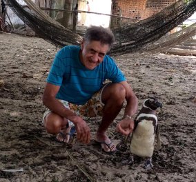 Βίντεο - Βραζιλία: Πιγκουίνος επιστρέφει κάθε χρόνο στον άνθρωπο που τον έσωσε