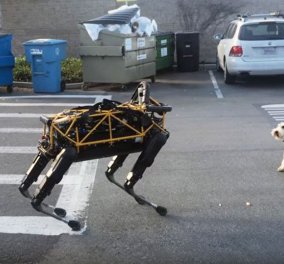 Ξεκαρδιστικό βίντεο: Το ρομπότ της Google παίζει μαζί με έναν αληθινό σκύλο!