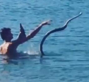 Πανικός με τον ιδιόρρυθμο κύριο που πήρε το φίδι του στη θάλασσα για να κολυμπήσουν μαζί (ΒΙΝΤΕΟ)