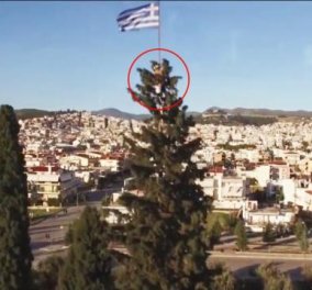 76χρονος Λαμιώτης ανέβασε σε κυπαρίσσι 30μ. την ελληνική σημαία - Με κίνδυνο της ζωής του (Βίντεο)
