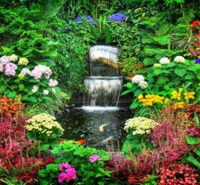 Ο κήπος σου πολύχρωμος & μυρωδάτος: Βάλε νεραγκούλες, φελίτσια, μολόχες, μίλιον μπελς