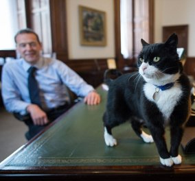 BBC: Ο γάτος  Πάλμερστον (μην γελάτε) αναλαμβάνει καθήκοντα στο Φόρεϊν 'Οφις - Αρχηγός Δίωξης ποντικών 
