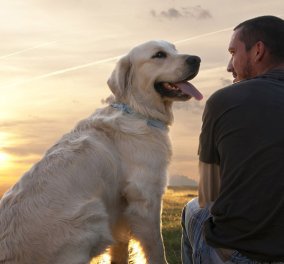 Η μαγική σχέση των σκύλων με τους ανθρώπους - Η διαφήμιση που συγκίνησε τους φιλόζωους όλου του κόσμου