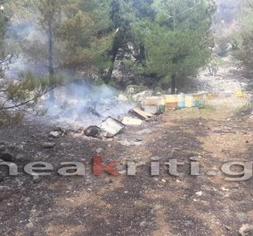 Κρήτη: Πυρκαγιά στην Ιεράπετρα - Αρνήθηκαν την συνδρομή ελικοπτέρου 