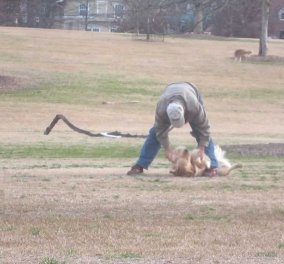 Smile βίντεο: Σκύλος… κάνει τον πεθαμένο για να μείνει στο πάρκο!