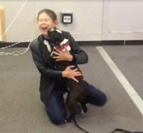 Βίντεο: Μοναδική στιγμή που η Debi ξαναβρίσκει τον σκύλο της τον Δια μετά από 2 χρόνια 