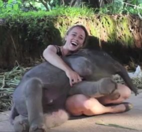 Smile βίντεο: Ελεφαντάκια κάνουν σαν σκύλοι - Αγκαλιάζουν τους εκπαιδευτές τους & γίνονται viral