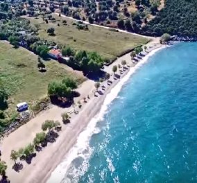 Βίντεο: Μία βουτιά στα εξωτικά νερά παραλιών της Αττικής γιατί ο παράδεισος είναι κοντά μας  