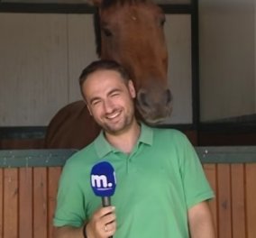 Τρελό γέλιο : Άλογο ερωτεύεται Έλληνα δημοσιογράφο και γίνεται το έλα δεις στο Internet