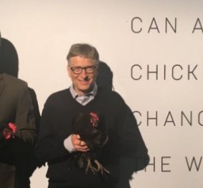 Γιατί ο  Μπιλ Γκέιτς δώρισε 100.000 κοτόπουλα σε φτωχές οικογένειες ; Έτσι θα τις σώσω, λέει
