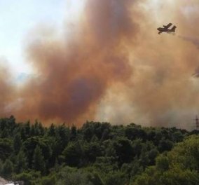 Mάχη με τις φλόγες δίνουν οι πυροσβέστες στα Δερβενοχώρια - Σε 2 μέτωπα η φωτιά