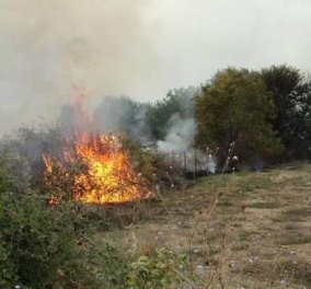 Δερβενοχώρια: Υπό μερικό έλεγχο η φωτιά μετά από 4 μέρες - Η χθεσινή καταιγίδα τους έσωσε