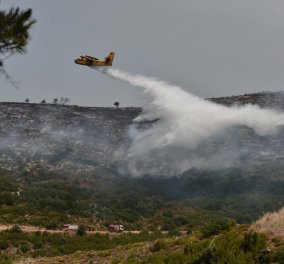 Καίγεται δάσος στον Βαρνάβα: Σε συναγερμό η Πυροσβεστική 
