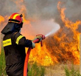 Μάχη με τις φλόγες στα Χανιά: Κινδύνευσαν σπίτια με τους κατοίκους χωριού να τα εγκαταλείπουν!