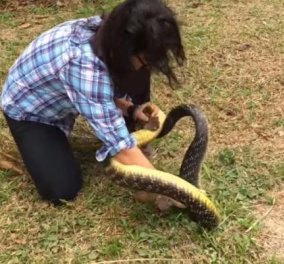 Βίντεο: Η στιγμή που ατρόμητη γυναίκα αρπάζει με γυμνά χέρια ένα τεράστιο φίδι και...