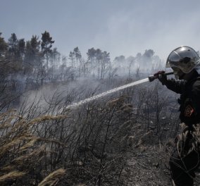 Συνεχίζει να κατακαίει τη Σάμο η μεγάλη πυρκαγιά που ξέσπασε χθες (βίντεο) - Ενισχύσεις της Πυροσβεστικής και από την Αθήνα