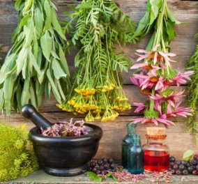 8 θαυματουργά βότανα που ρίχνουν τη χοληστερίνη - Οι πιστοί μας σύμμαχοι από την φύση 