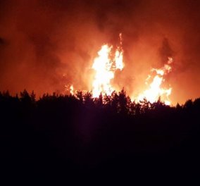 Υπό έλεγχο η πυρκαγιά στη Βόρεια Εύβοια - Τεράστια η καταστροφή, χάθηκαν 20.000 στρέμματα πευκοδάσους