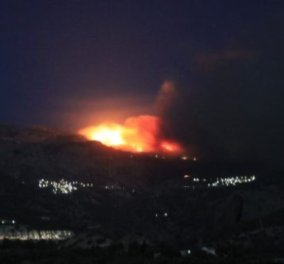 Συναγερμός στην Ιεράπετρα: Στις φλόγες το δάσος Σελάκανο - Ανεξέλεγκτη μαίνεται η φωτιά
