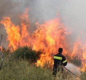Μεγάλη πυρκαγιά μαίνεται στην Λέρο: Απειλούνται κατοικημένες περιοχές - Έκκληση για βοήθεια από τον Δήμαρχο