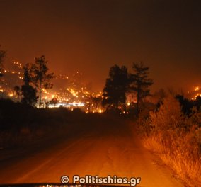 Ολονύχτια μάχη με τις φλόγες στην Χίο: Καταστράφηκαν χιλιάδες στρέμματα μαστιχόδεντρων 